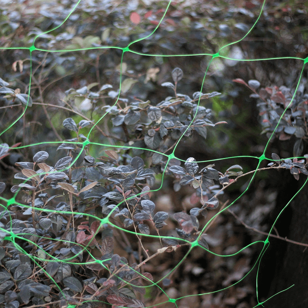 صافي الخيار