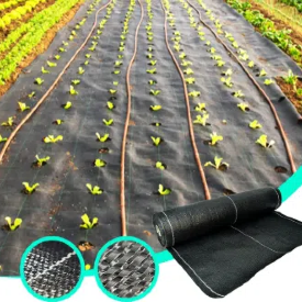 فوائد الغطاء الأرضي SUGRAND