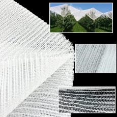 مكافحة الشبكة الشبكة 