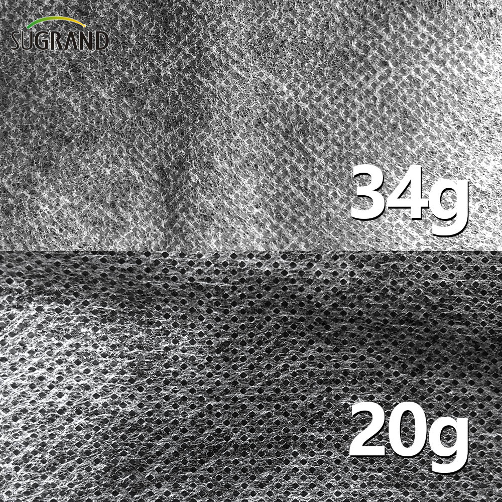 100g 2x50m الزراعة PP الأبيض غير المنسوج 