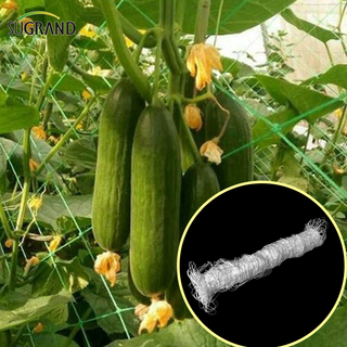 حديقة أخضر بيضاء Balck Trellis Plant Climbing دعم الموردين المعاوبين