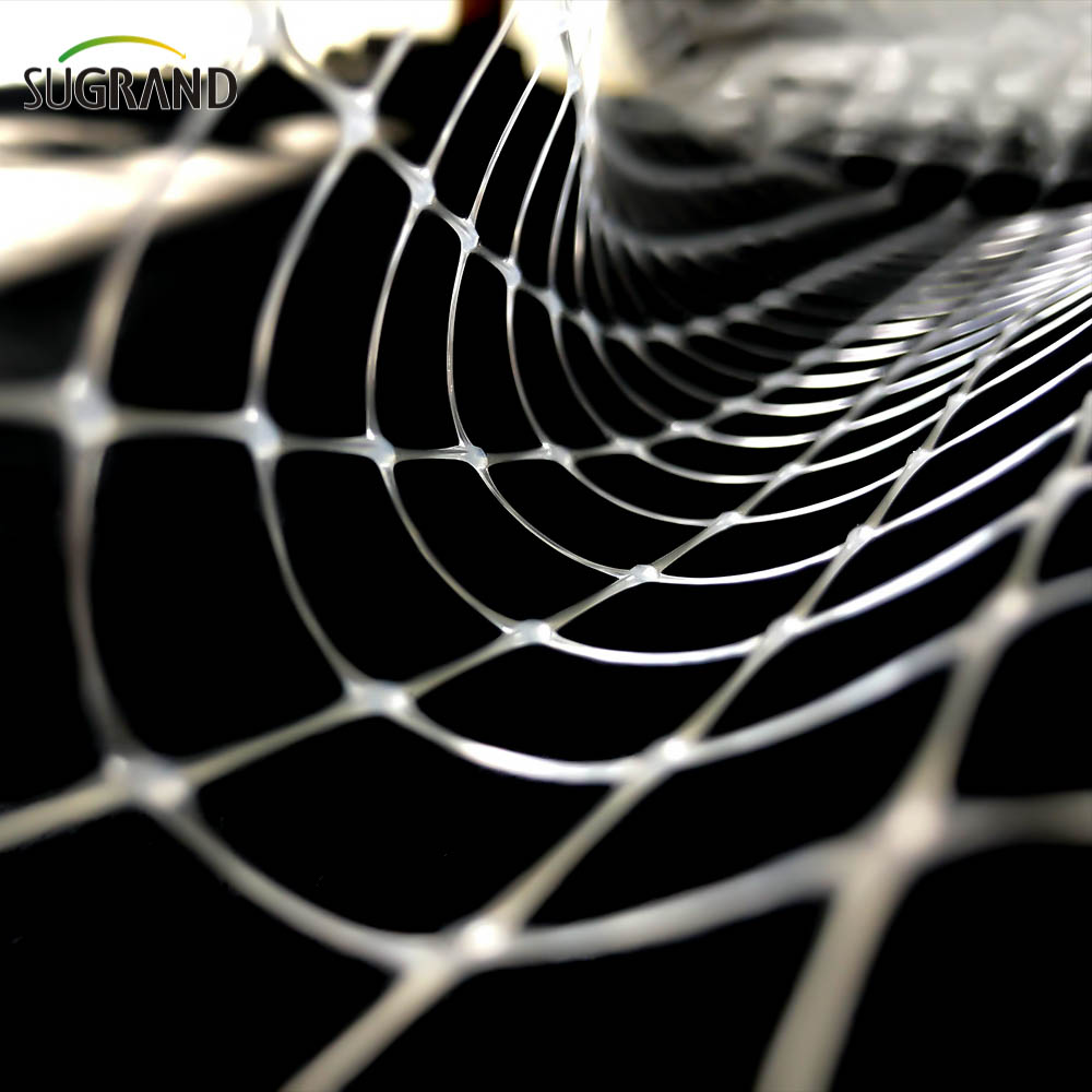 أبيض 8*8 مم صافي مضاد للطيور من أجل الموردين