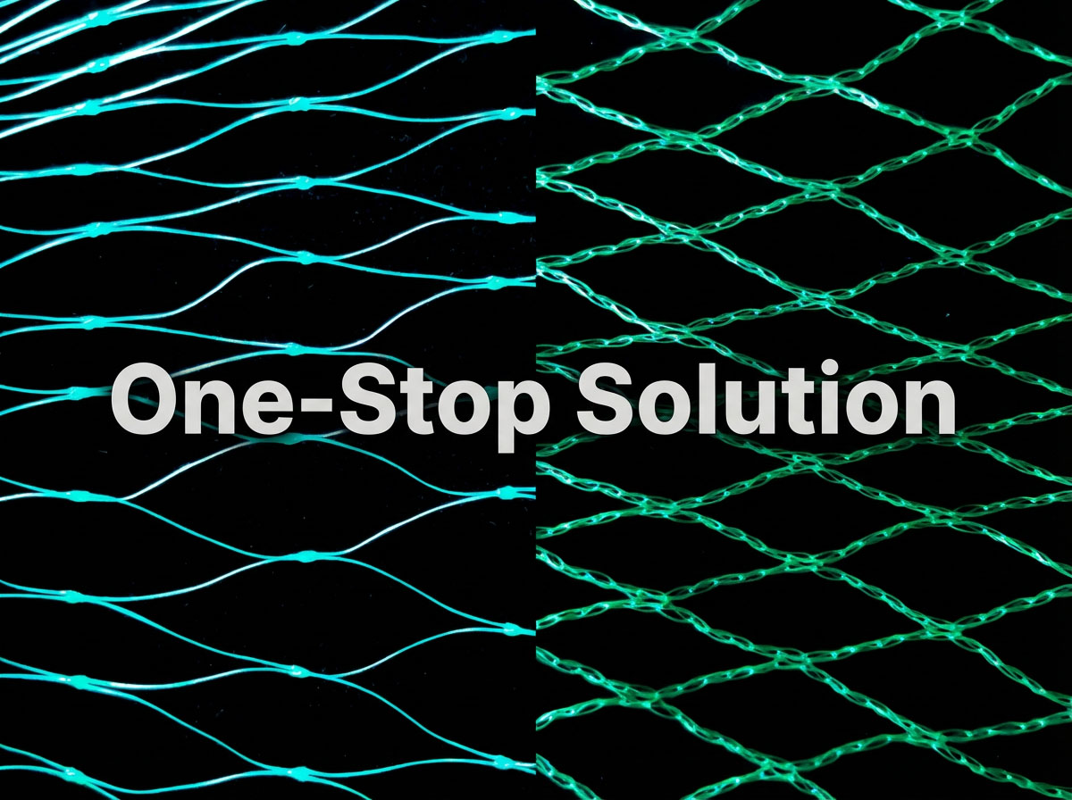 شبكات الطيور