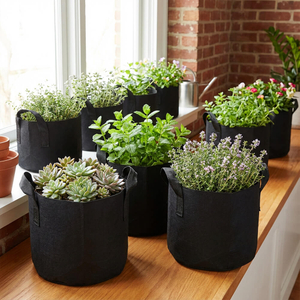 الجملة أكياس النسيج غير المنسوجة جالون تنمو