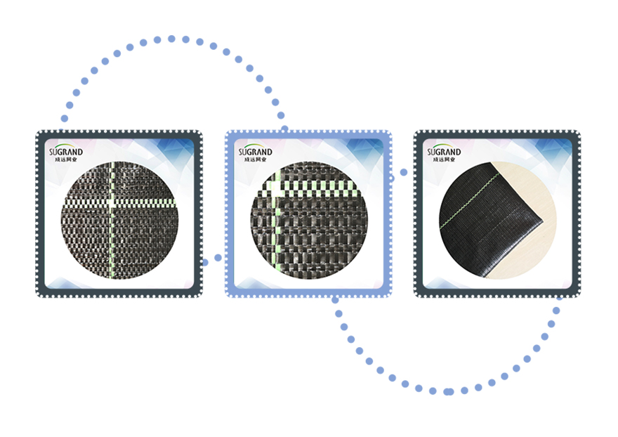 غطاء الأرض القاع