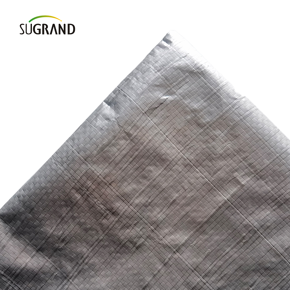 المصنع المباشر بالجملة البيضاء ورقة القماش المشمع