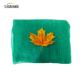 أخضر داكن ست إبر شريط شريط تظليل صافي