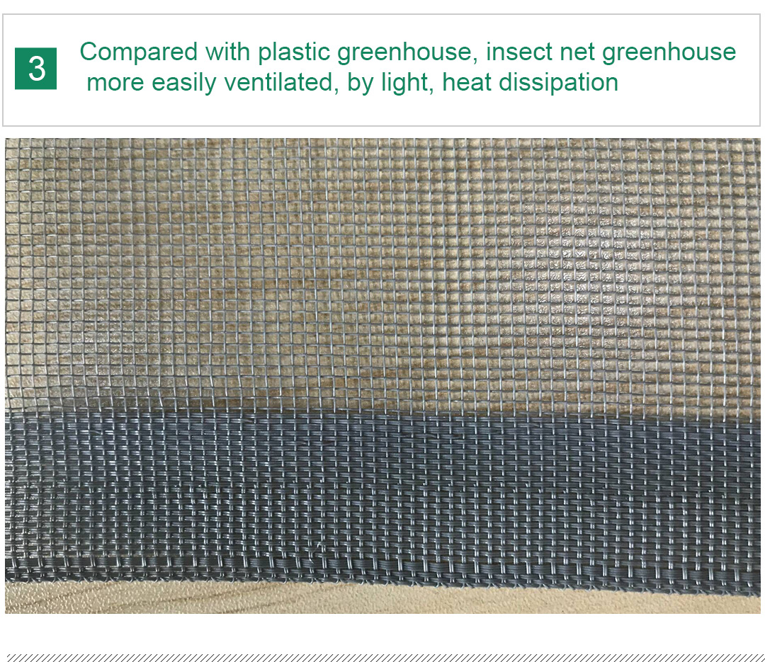 شبكة الحشرات 7