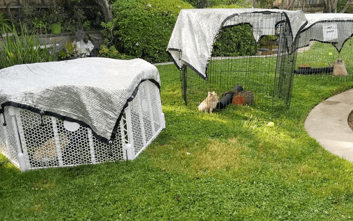 كيفية قياس ظل الشراع