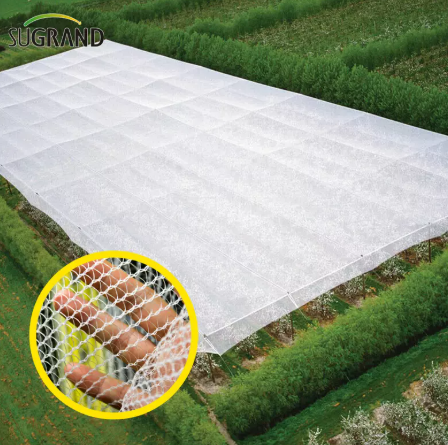 مكافحة الشبكة