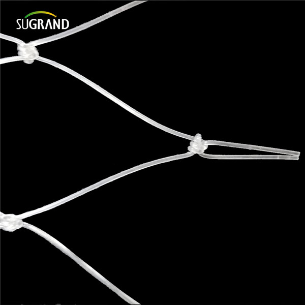 شبكة أسماك النايلون (6)