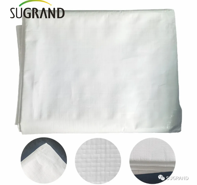 القماش المشمع