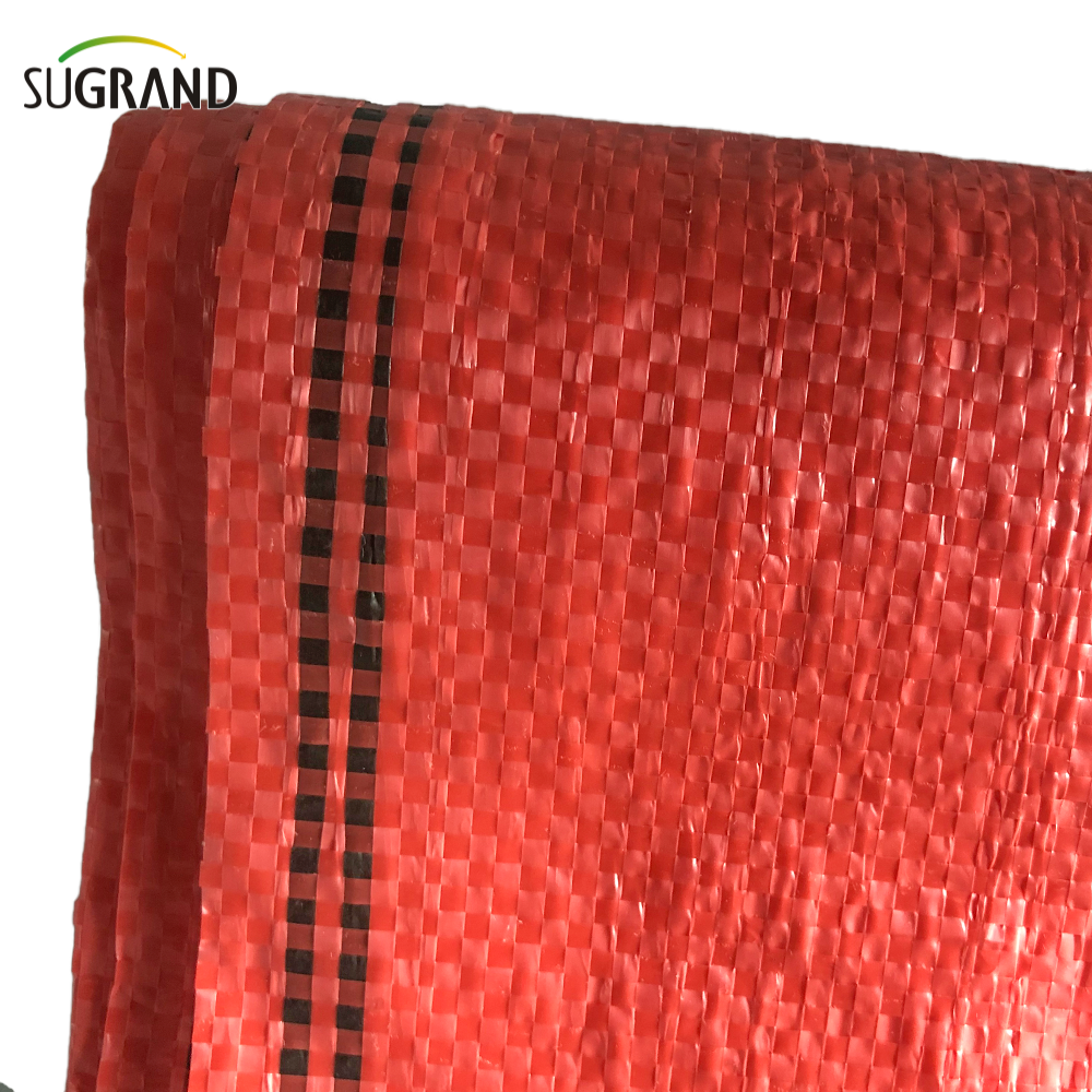 أكياس البطاطس الشبكية البلاستيكية في سوق تشيلي أكياس البصل حقيبة PP الصافية