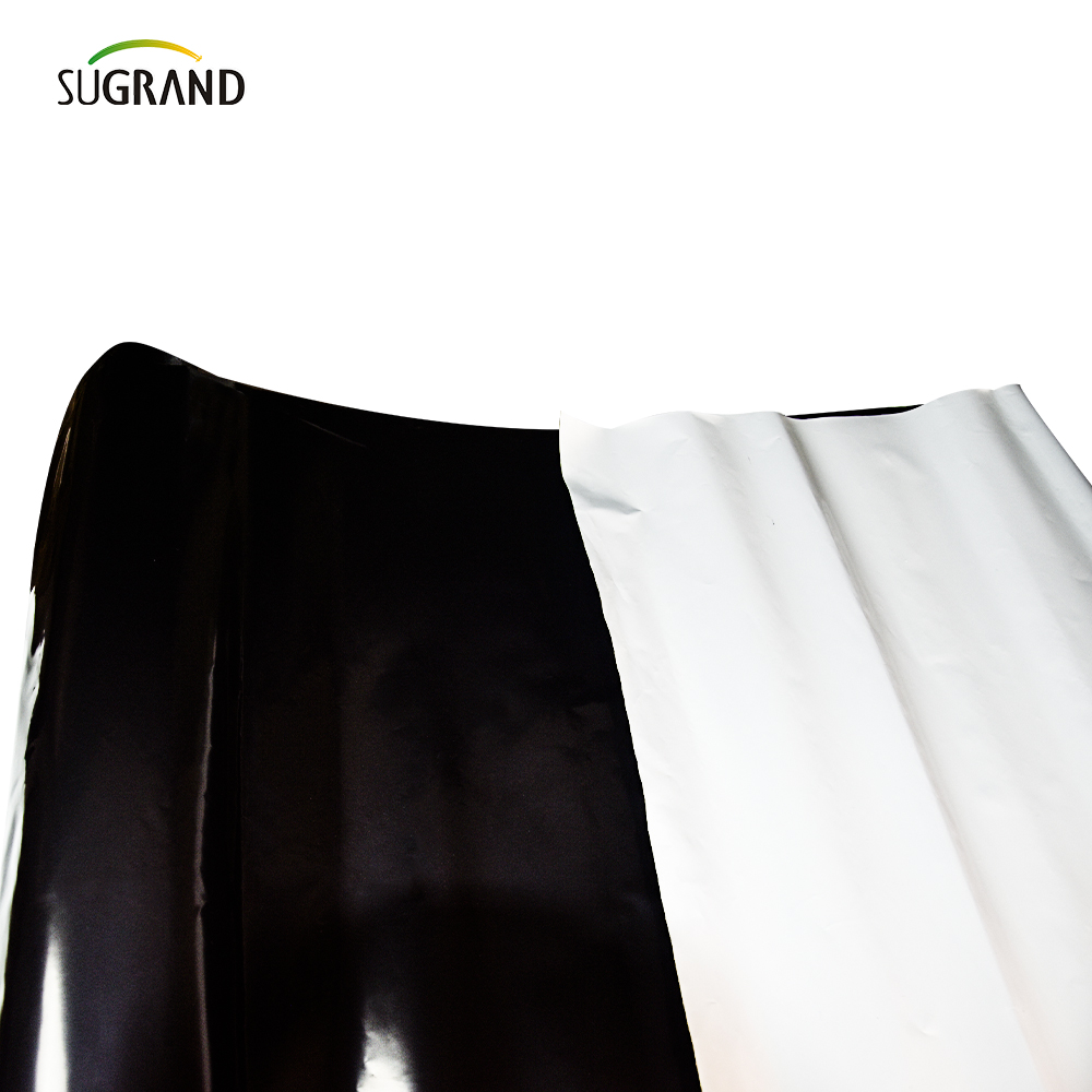 Pe Garden Weed Mat Agriculture Plastic Mulch Film