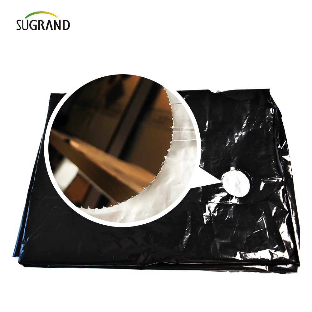 استخدام فيلم المهاد من البلاستيك مثقبة للأشعة فوق البنفسجية استخدام الخضار 