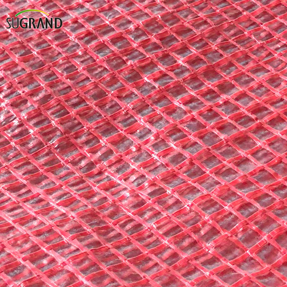 شبكة سقالة بلاستيكية تتسرب شفاف الباباولن