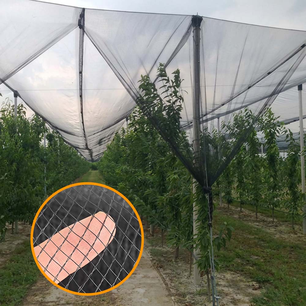 SUGRAND شبكة مكافحة البرد للمزارع والبساتين