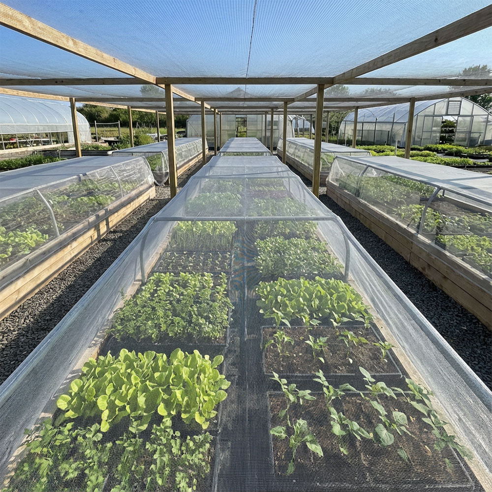 كيفية اختيار شبكة الحشرات المناسبة للخضروات؟