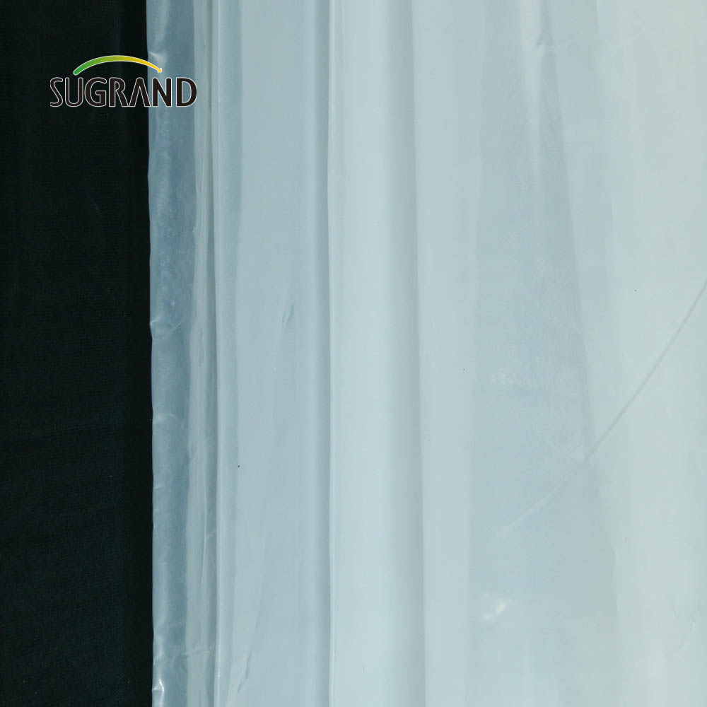 سعر مصنع رخيص فيلم دفيئة فيلم مقاوم للماء 150 ميكرون فيلم دفيئة لحديقة الخضار