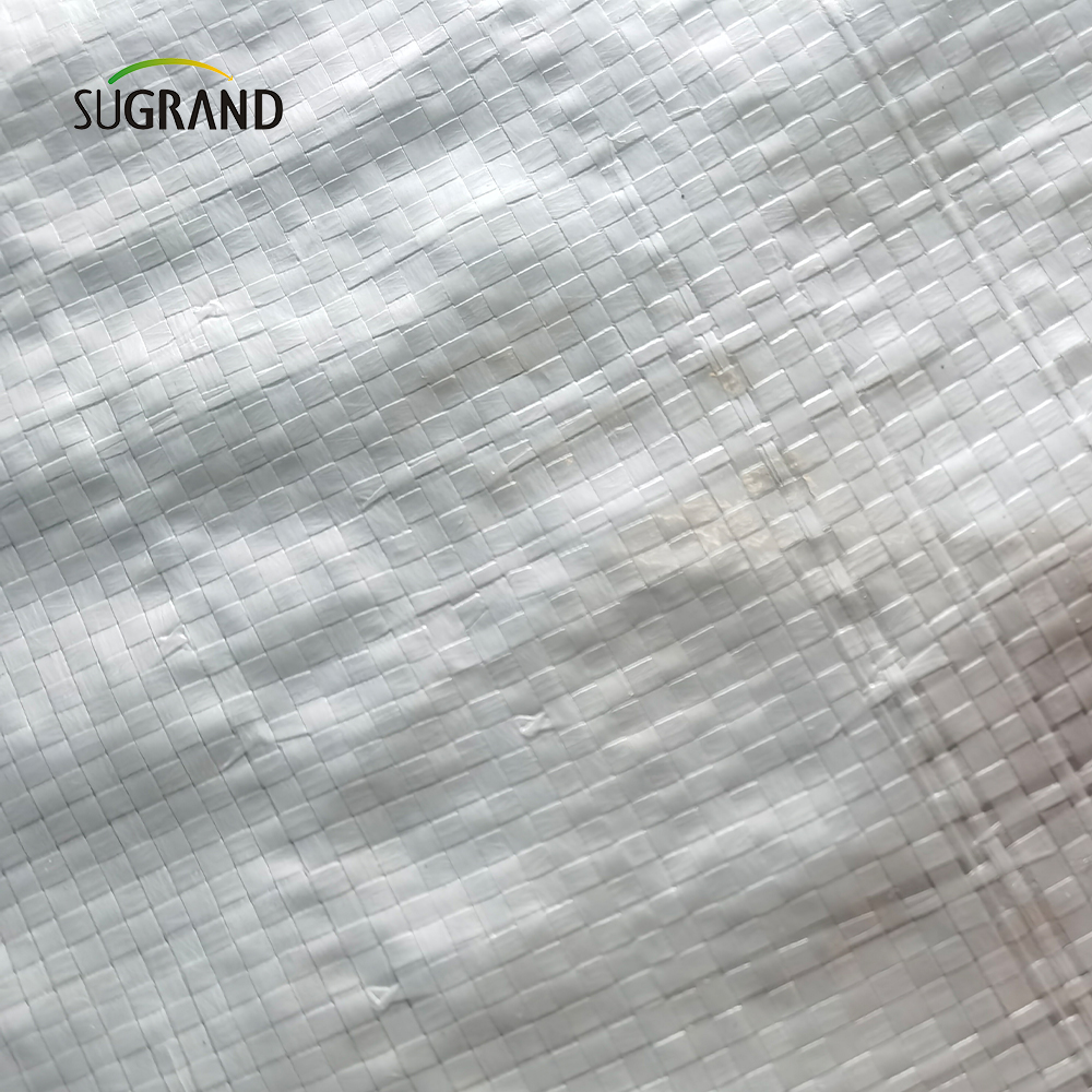 المصنع المباشر بالجملة البيضاء ورقة القماش المشمع