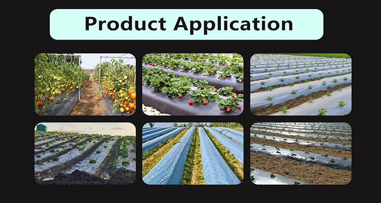 فيلم نشارة (2)