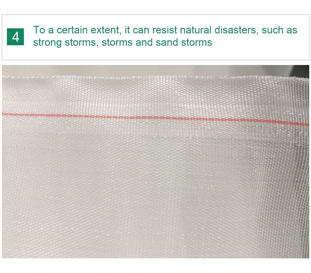 شبكة الحشرات 8