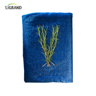 ستة إبر أحادية+شريط الظل الأزرق