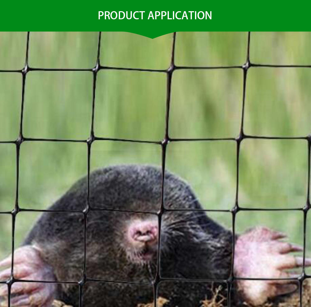 شبكة مكافحة الخلد 6