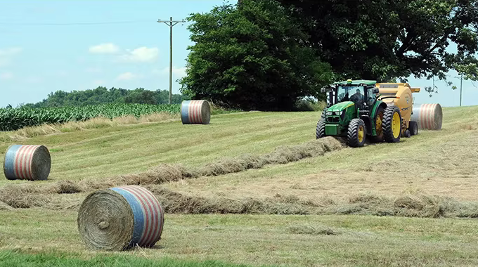 شبكة بالة البليت