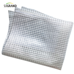 800G متخلف حريق 3*45M SCAFFOLD SHITING