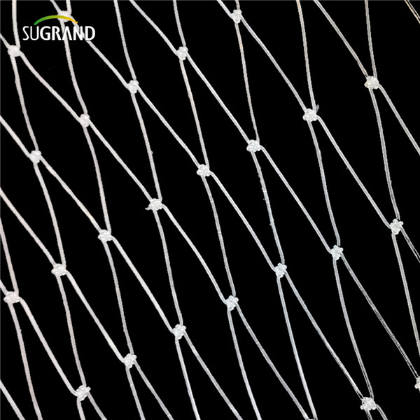 شبكة أسماك النايلون (5) 