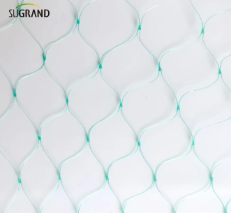 شبكة الطيور