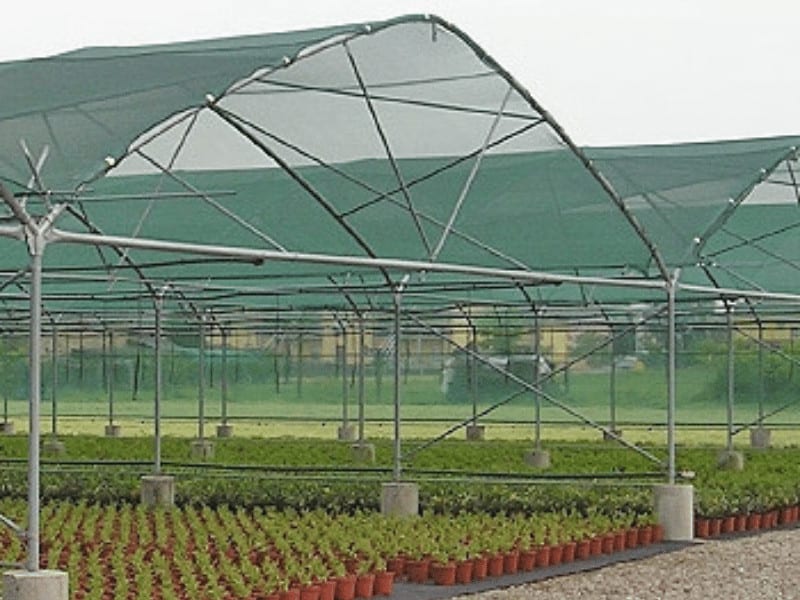 الظل المعاوضة