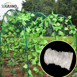 مصانع تسلق صافية من نايلون بيضاء تدعم الشبكة