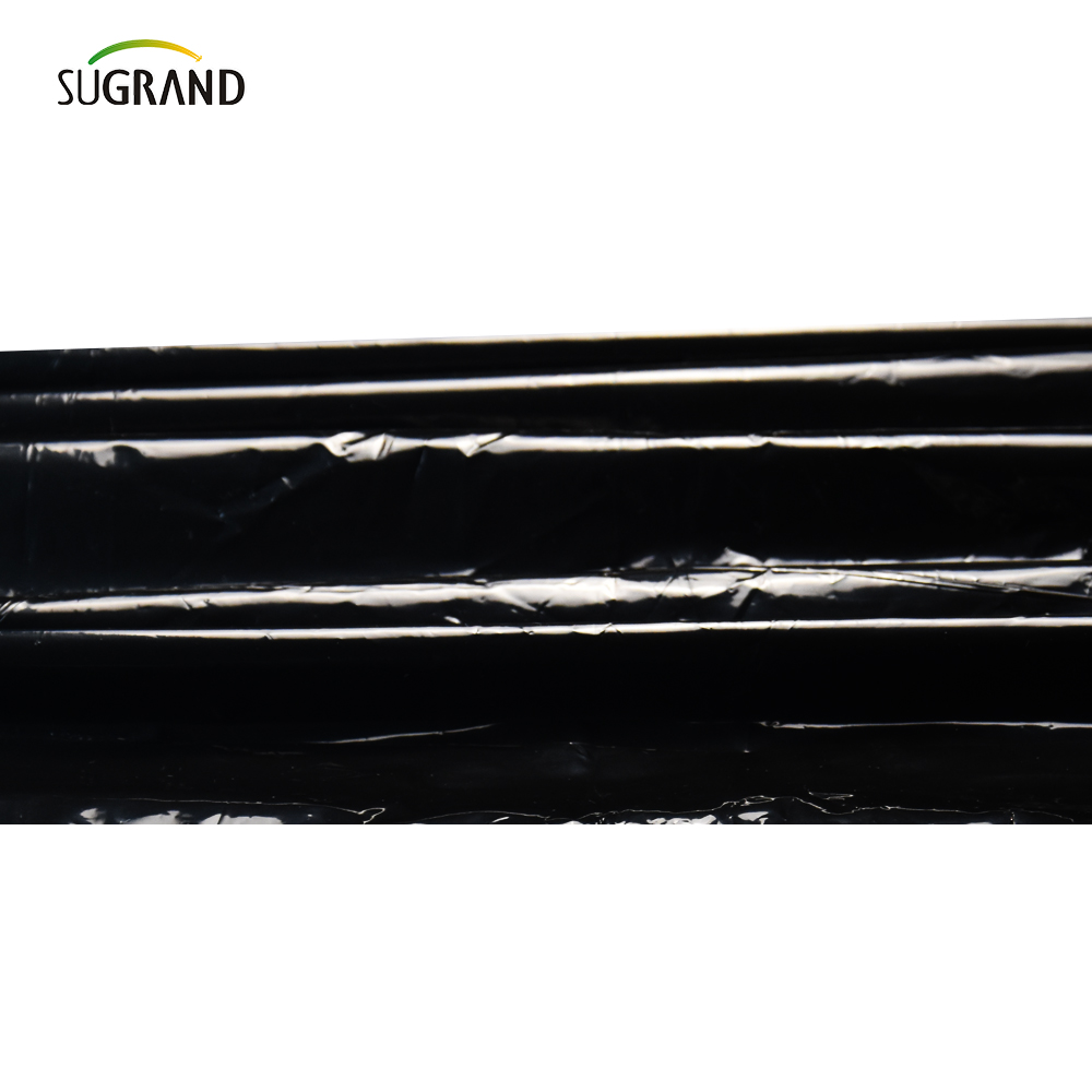 استخدام فيلم المهاد من البلاستيك مثقبة للأشعة فوق البنفسجية استخدام الخضار 