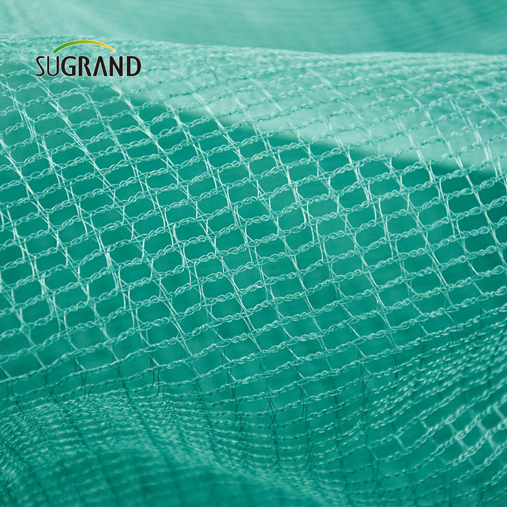 شبكة الزيتون 5 × 10 أمتار لشبكة زيتون حصاد الفاكهة في إيطاليا