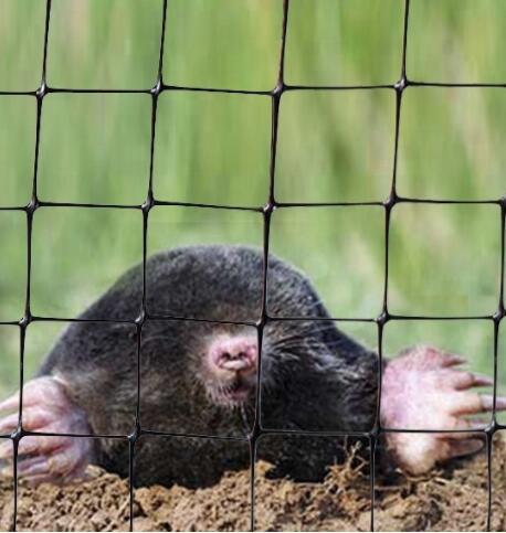 شبكات مضادة للذوبان