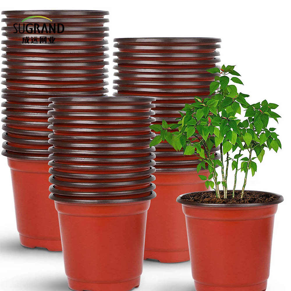 أواني حضانة النباتات البلاستيكية بذور البذور الأواني للنبات بالجملة