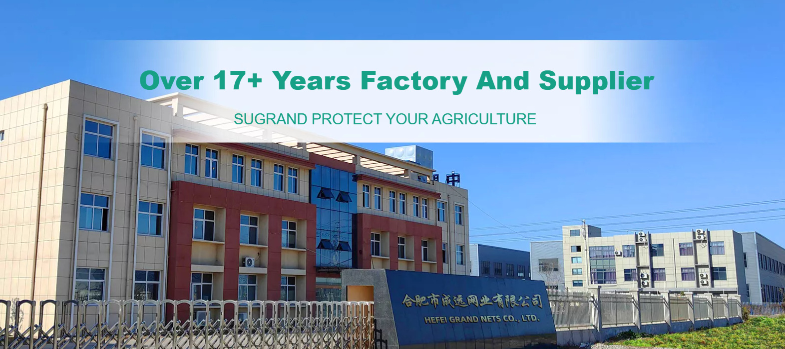 ما هو لون الغطاء الأرضي الذي يعمل بشكل أفضل في الحدائق؟