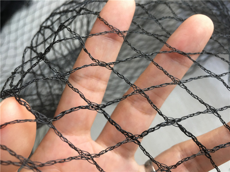 شبكات ضباب الطيور لصيد الطيور