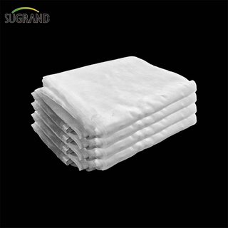 محبوكة شفافة ضد الحشرات / تريبس صافي للزراعة