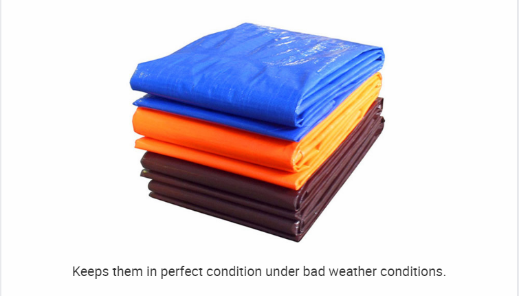 القماش المشمع6