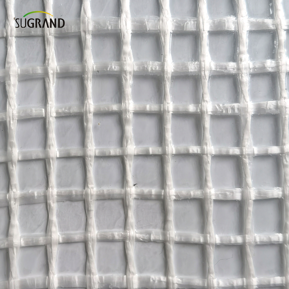 800G متخلف حريق 3*45M SCAFFOLD SHITING