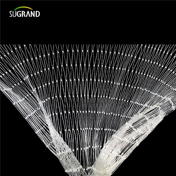 شبكة أسماك النايلون (4) 