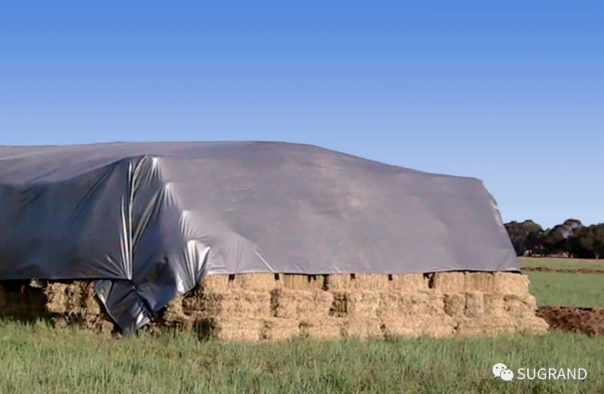 القماش المشمع