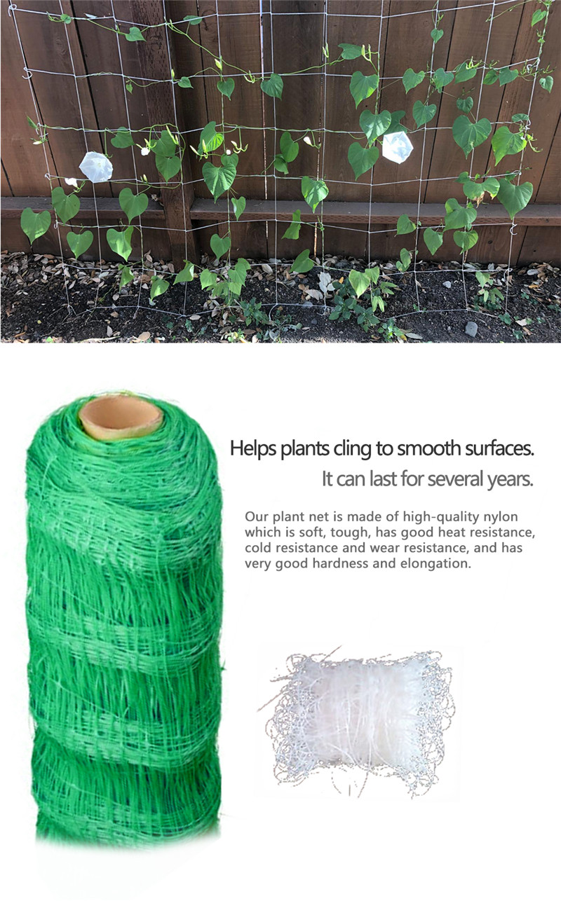 شبكة دعم النبات 6