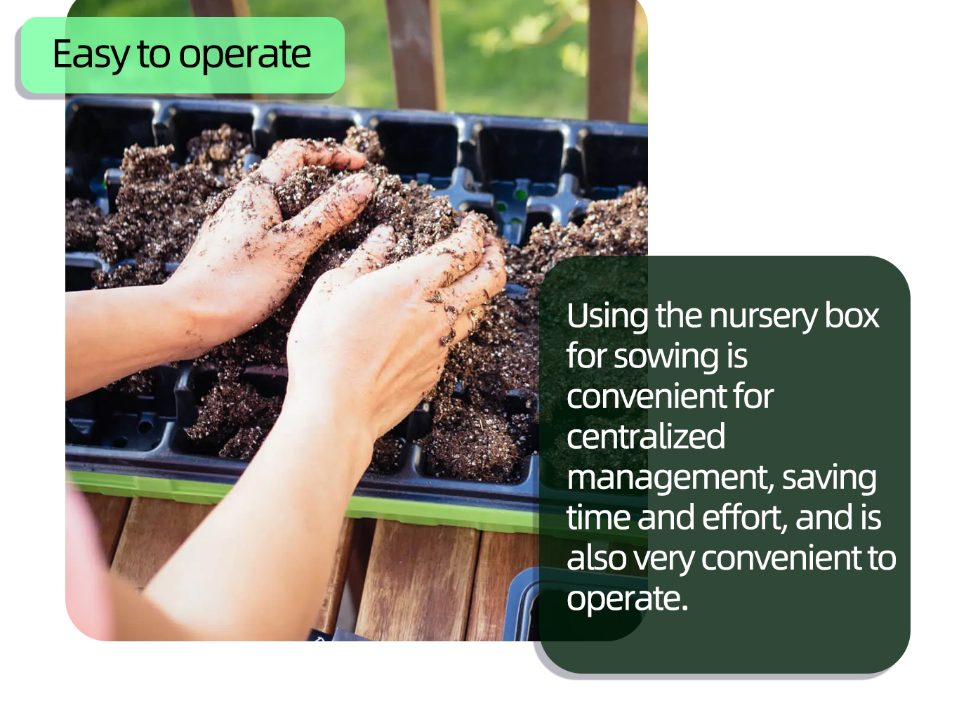 وعاء الحضانة الأسود