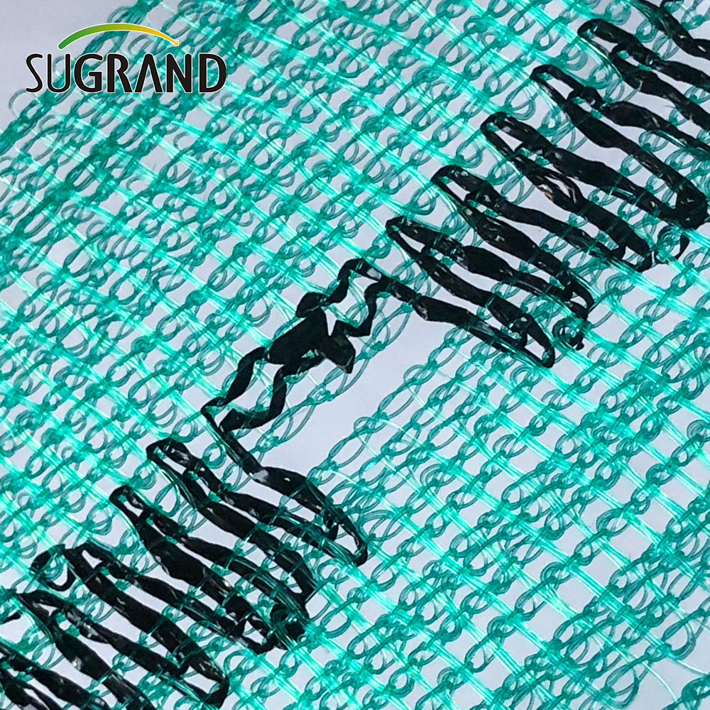 Green 2.5m 50g سقالة البناء صافي صافي السلامة الحطام