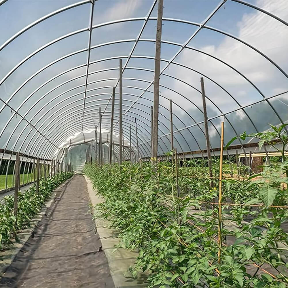 فيلم الدفيئة البلاستيكية البولي إيثيلين