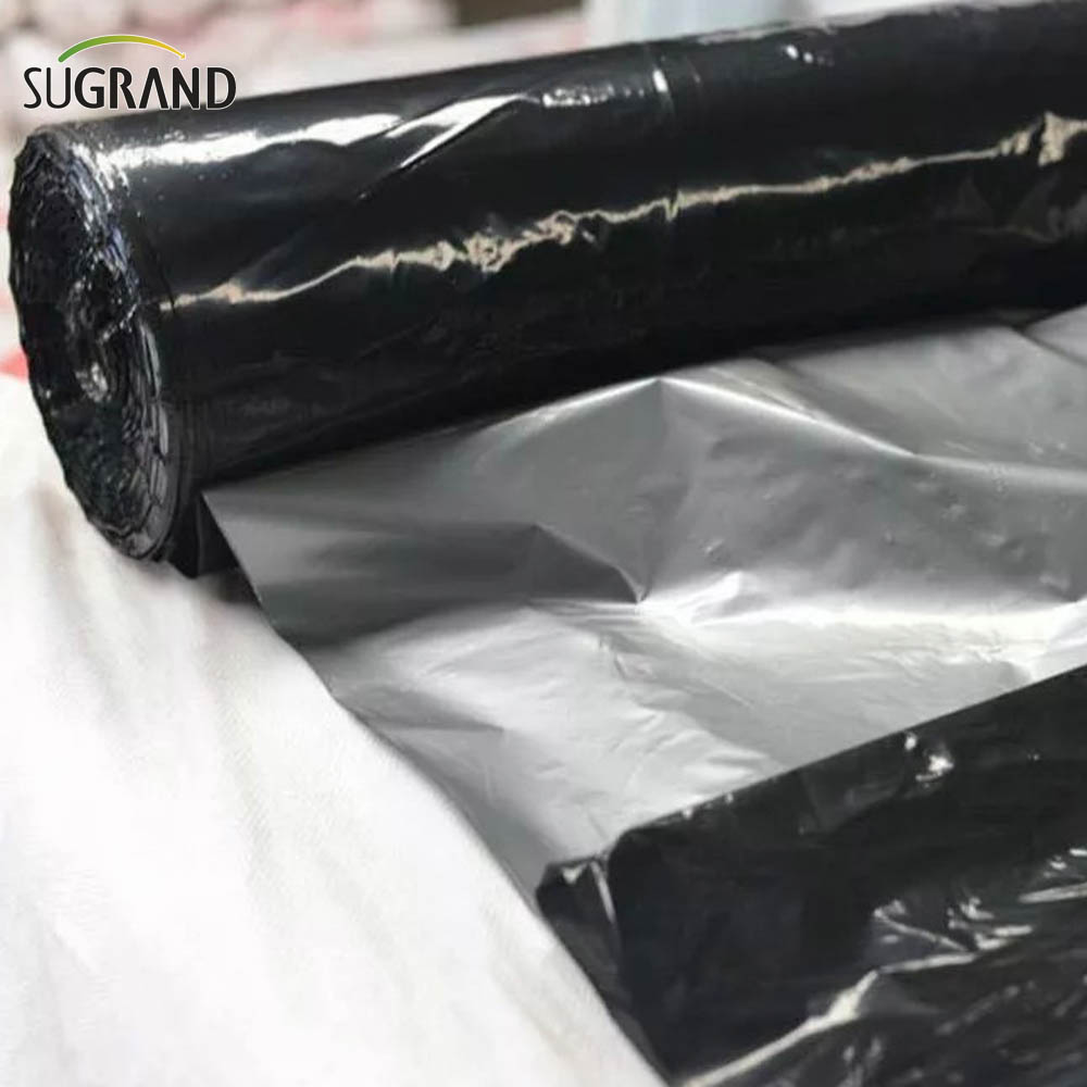 الزراعة البلاستيكية المهور 